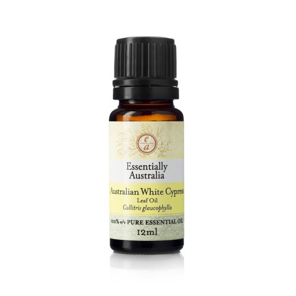 Australian White Cypress Essential Oil