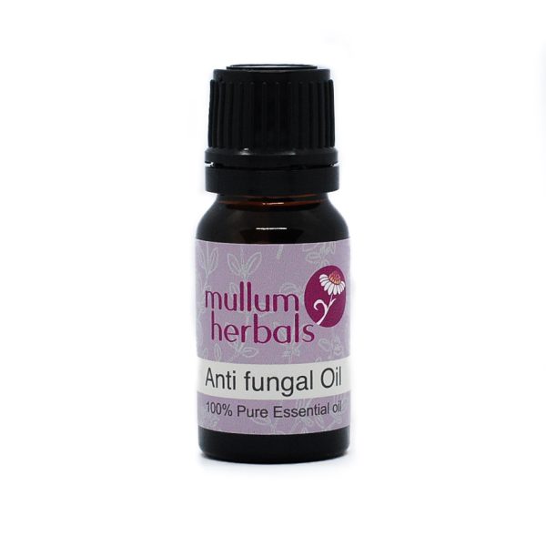 Anti Fungal Essential Oil Blend