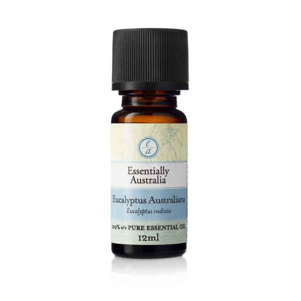 Eucalyptus Australiana Essential Oil