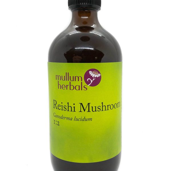 Reishi Mushroom 1:2 Organic Herbal Tincture