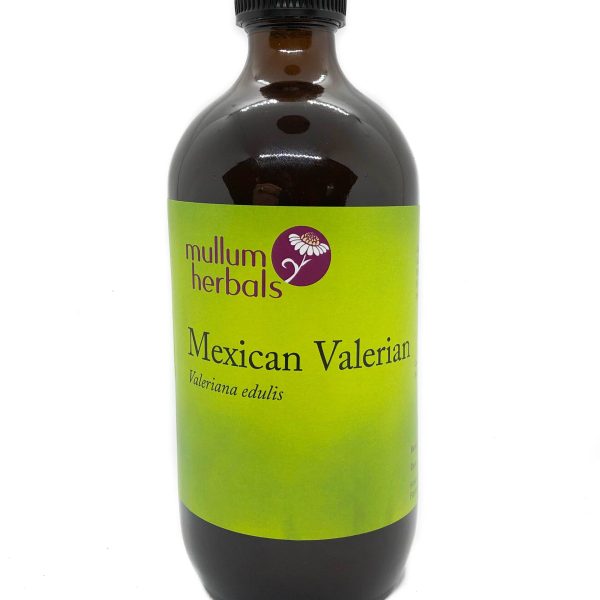 Mexican Valerian 1:2 Herbal Tincture