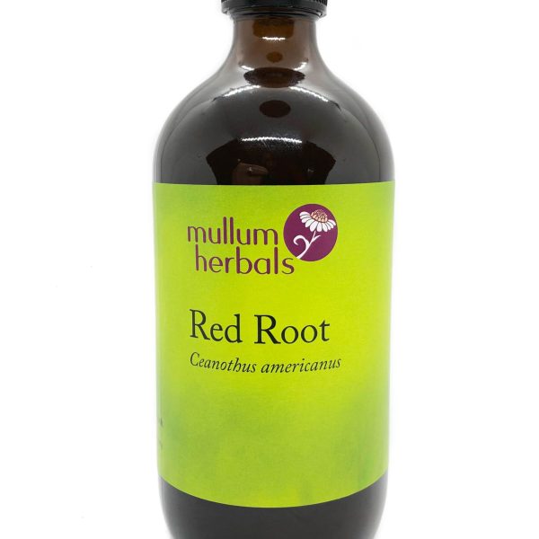 Red Root 1:2 Herbal Tincture