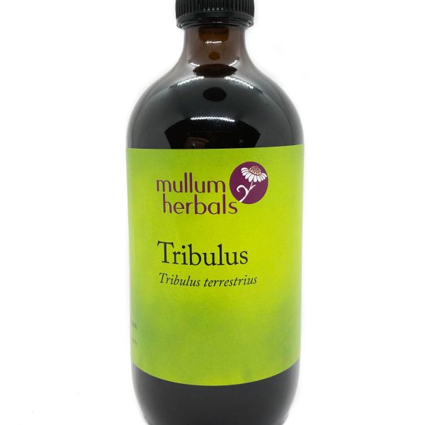 Tribulus 1:1 Organic Herbal Tincture