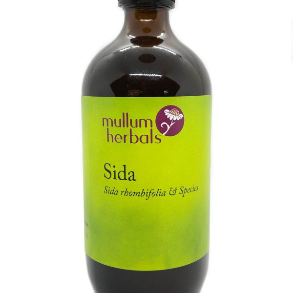 Sida 1:2 Organic Herbal Tincture