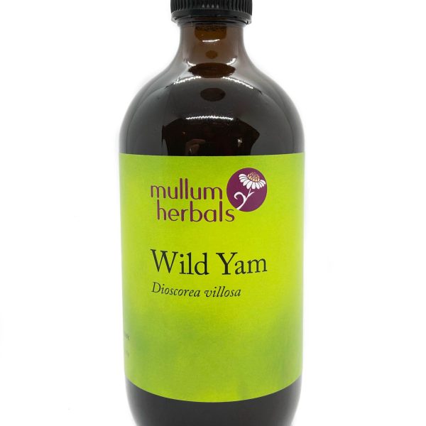 Wild Yam 1:2 Wild Crafted Herbal Tincture