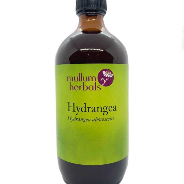 Hydrangea 1:2 Herbal Tincture