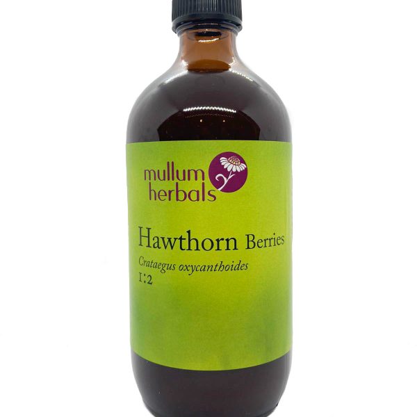 Hawthorn Berries 1:2 Organic Herbal Tincture