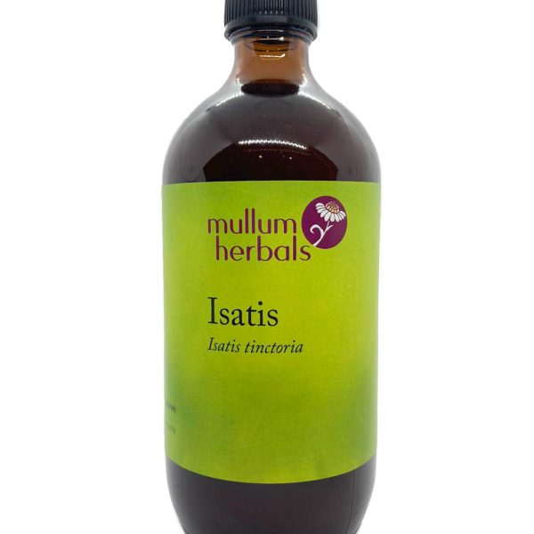 Isatis Root 1:2 Herbal Tincture