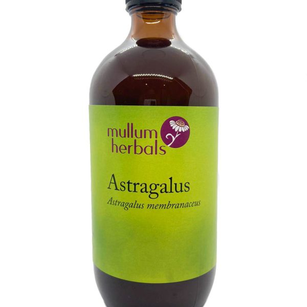 Astragalus 1:2 Organic Herbal Tincture