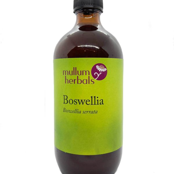 Boswellia 1:2 Herbal Tincture