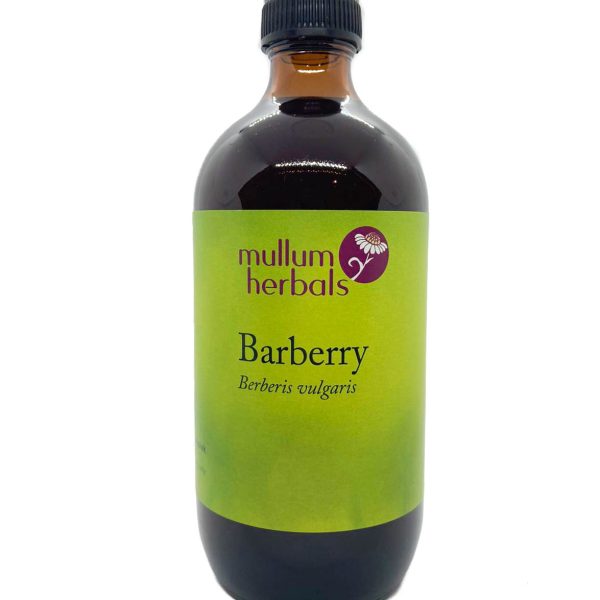 Barberry 1:2 Organic Herbal Tincture