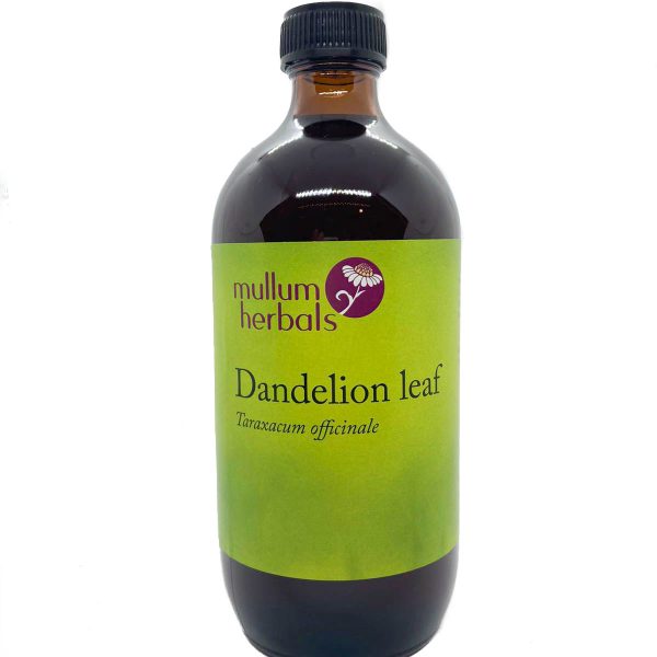 Dandelion Leaf 1:2 Organic Herbal Tincture
