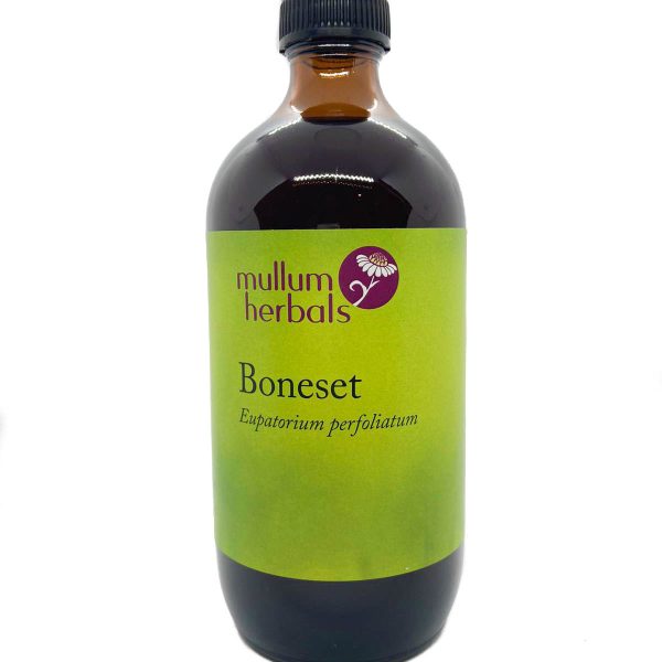 Boneset 1:2 Herbal Tincture
