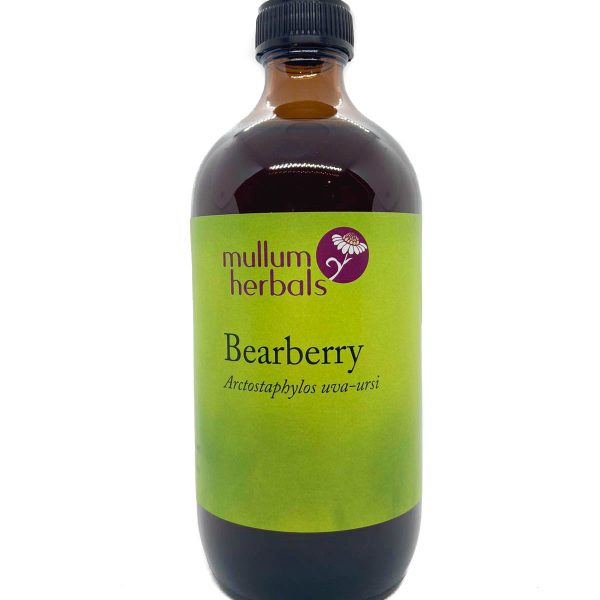 Bearberry 1:2 Wildcrafted Herbal Tincture