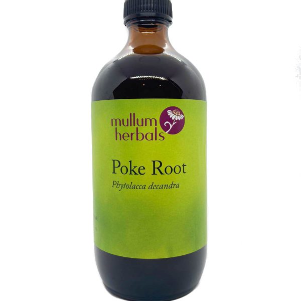 Poke Root 1:5 Herbal Tincture