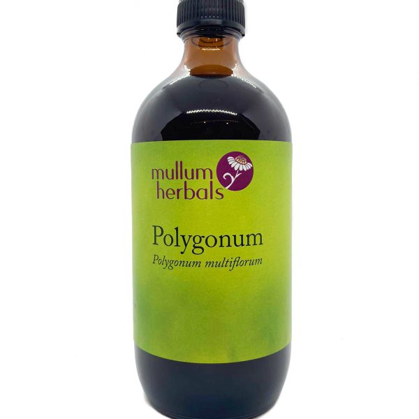 Polygonum Multiflorum 1:2 Herbal Tincture