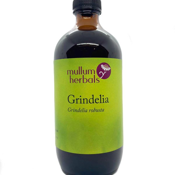 Grindelia 1:2 Wildcrafted Herbal Tincture