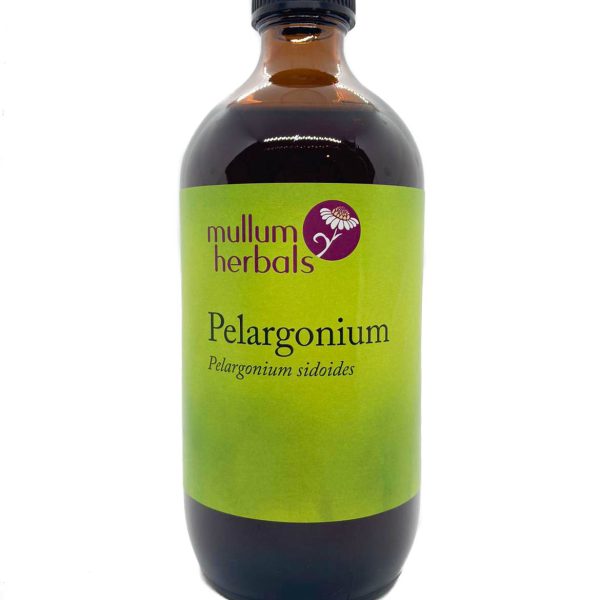Pelargonium 1:5 Herbal Tincture