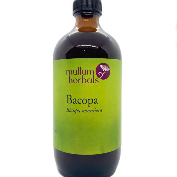 Bacopa 1:2 Organic Herbal Tincture