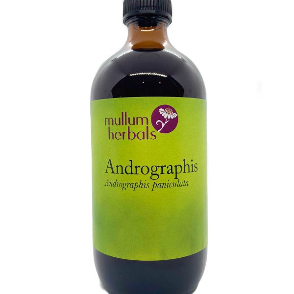 Andrographis 1:2 Herbal Tincture