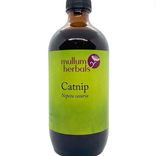 Catnip 1:2 Organic Herbal Tincture