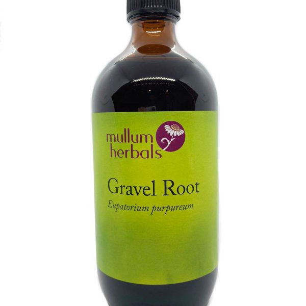 Gravel Root 1:2 Wildcrafted Herbal Tincture