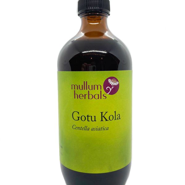 Gotu Kola 1:1 Organic Herbal Tincture