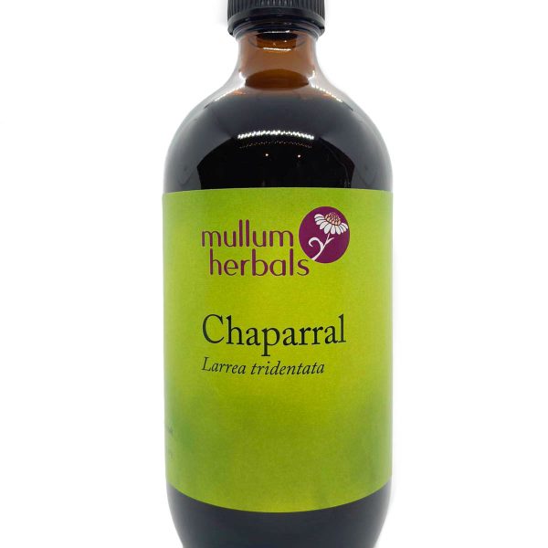 Chaparral 1:2 Wildcrafted Herbal Tincture