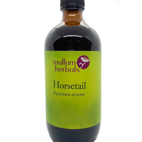 Horsetail 1:2 Organic Herbal Tincture