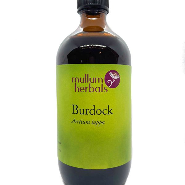 Burdock 1:2 Organic Herbal Tincture