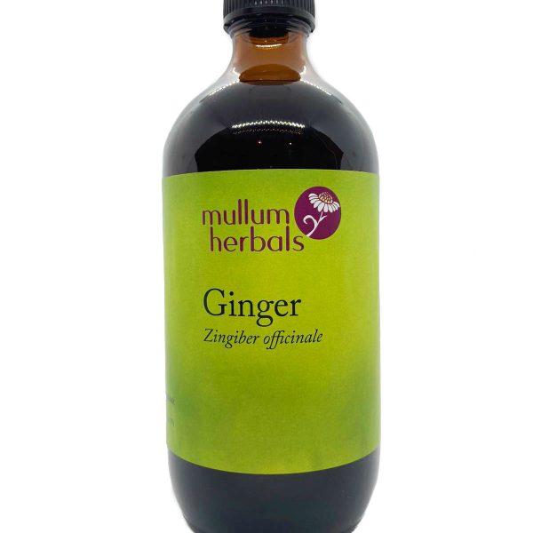 Ginger 1:2 Organic Herbal Tincture