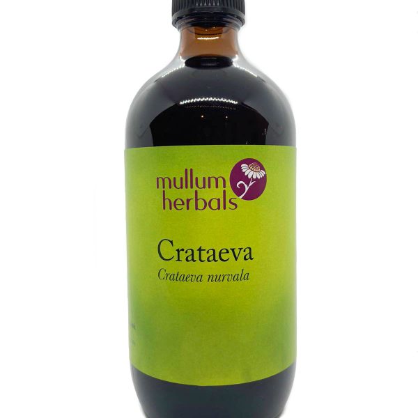 Crataeva 1:2 Herbal Tincture