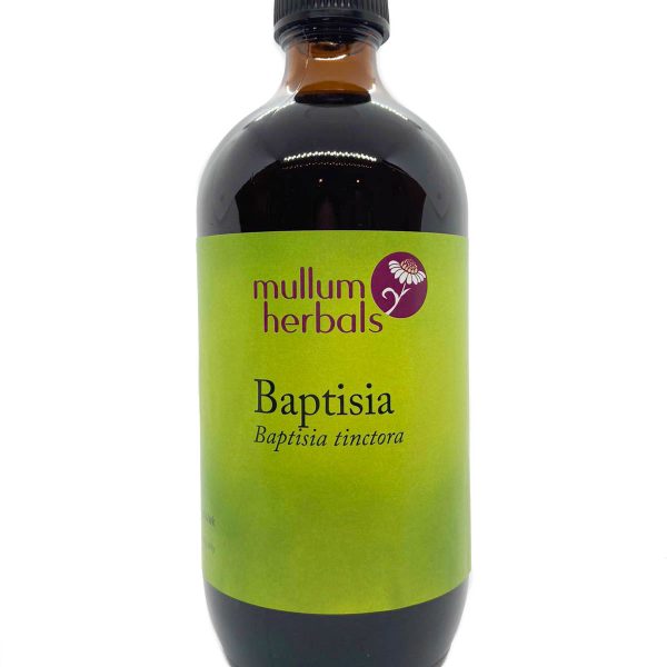 Baptisia 1:2 Organic Herbal Tincture