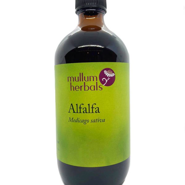 Alfalfa 1:2 Organic Herbal Tincture