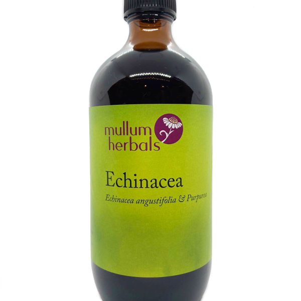 Echinacea - Premium Blend 1:2 Organic Herbal Tincture