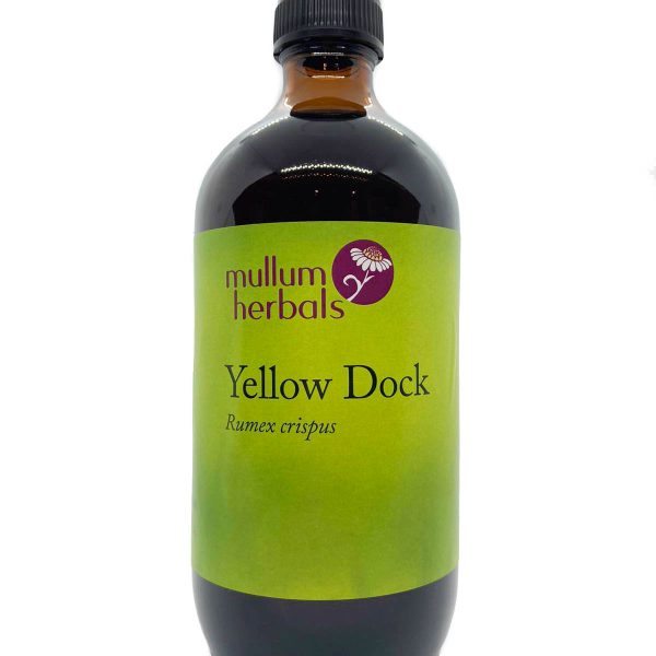 Yellow Dock 1:2 Organic Herbal Tincture