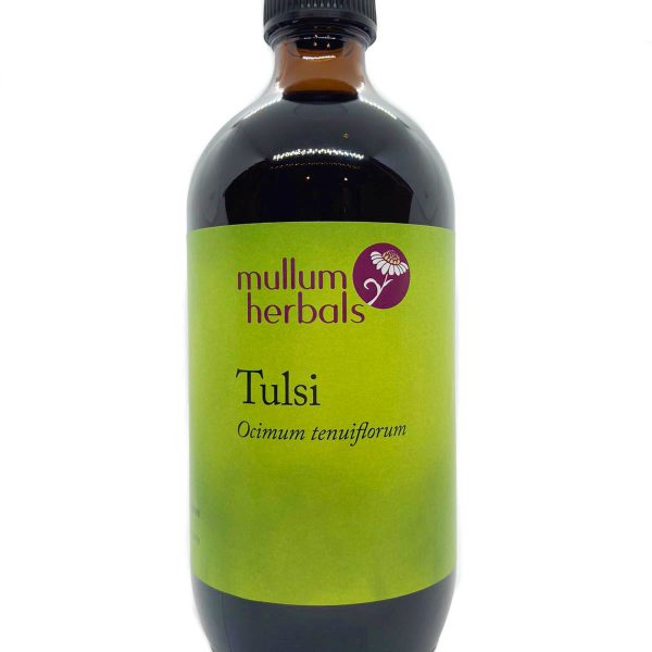 Tulsi 1:2 Organic Herbal Tincture