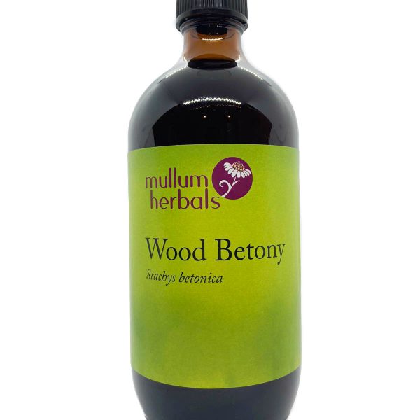 Wood Betony 1:2 Herbal Tincture