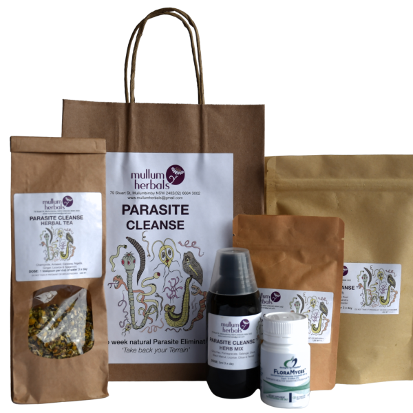 Parasite Cleanse - Two Week Natural Parasite Elimination